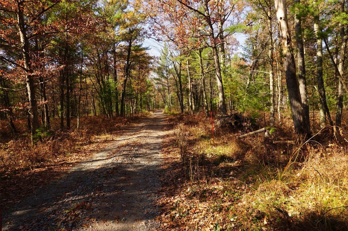 Lot 6 County Rd J, Neillsville WI 54456 - Land house for sale - MLS #1606165 - image9