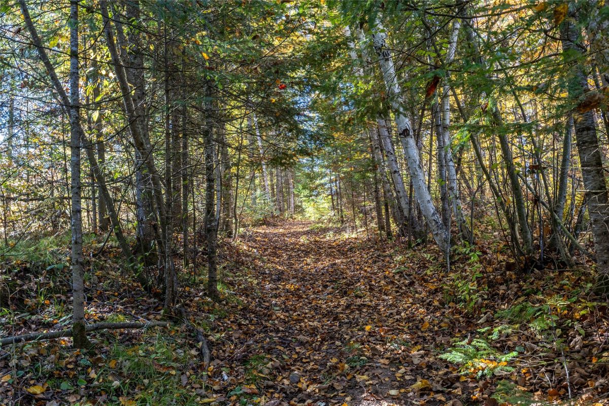 W5957 Happy Acres Road Tony WI 54563 - image38