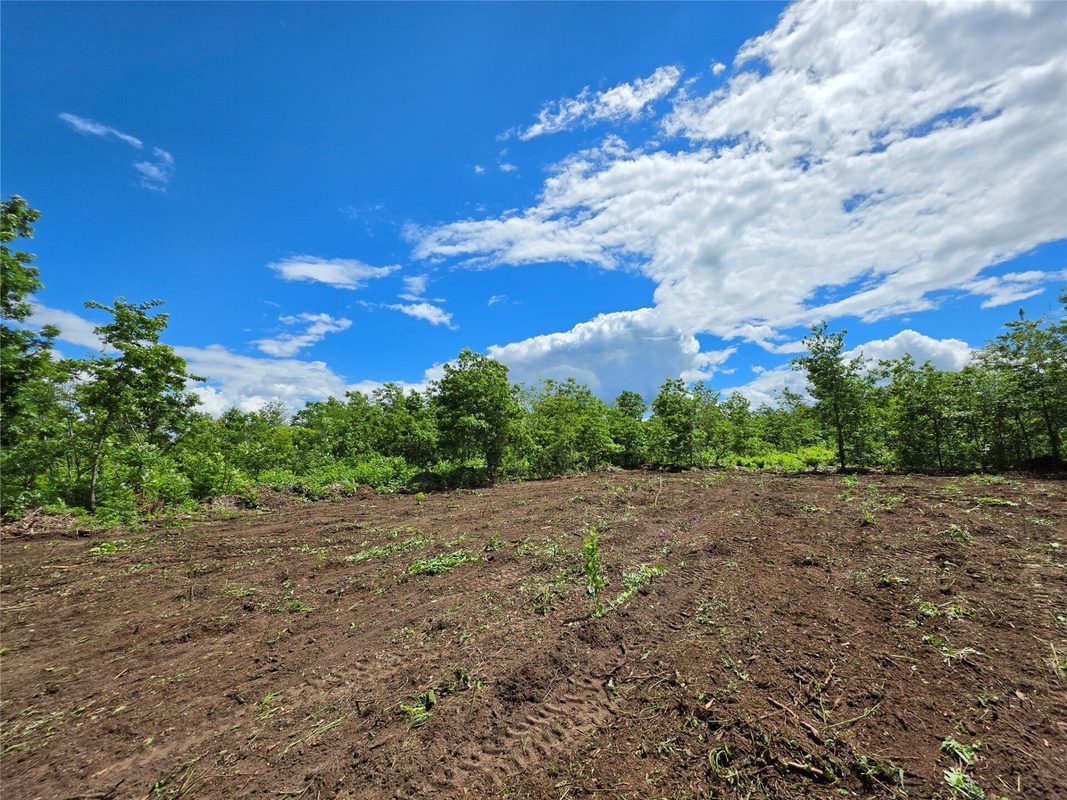 Lot 3 County Highway E, Elk Mound WI 54739 - Land house for sale - MLS #1600992 - image5