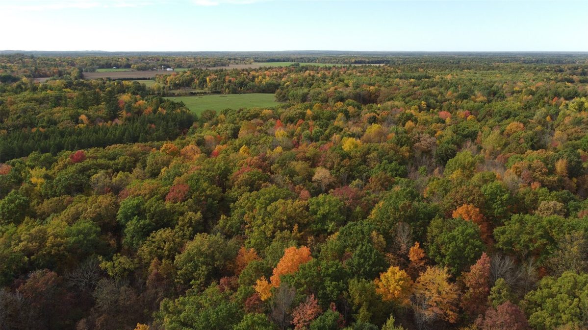 3461 56th Street, Frederic WI 54837 - Land house for sale - MLS #1605729 - image4