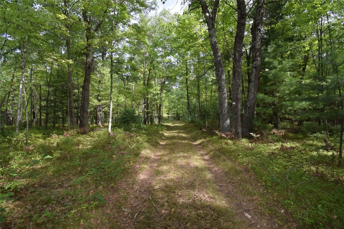 28206 Pardun Road, Danbury WI 54830 - Land house for sale - MLS #1604938 - image34