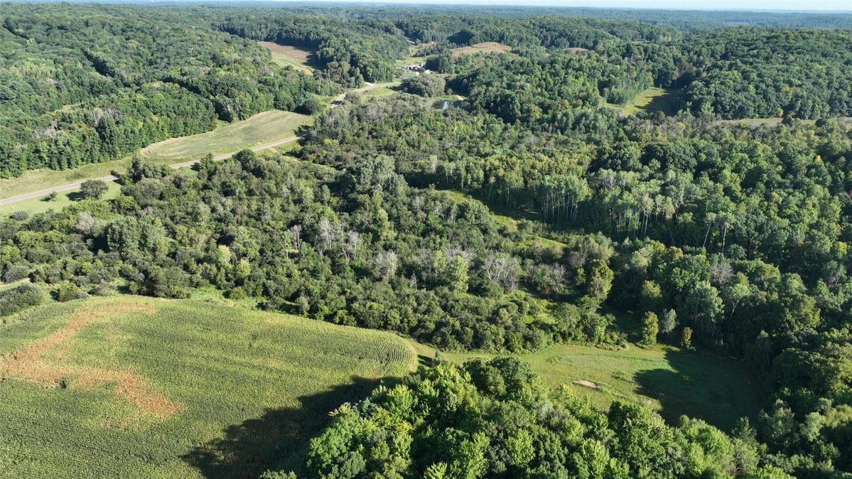 XX County Road O, Boyceville WI 54725 - Land house for sale - MLS #1604881 - image2