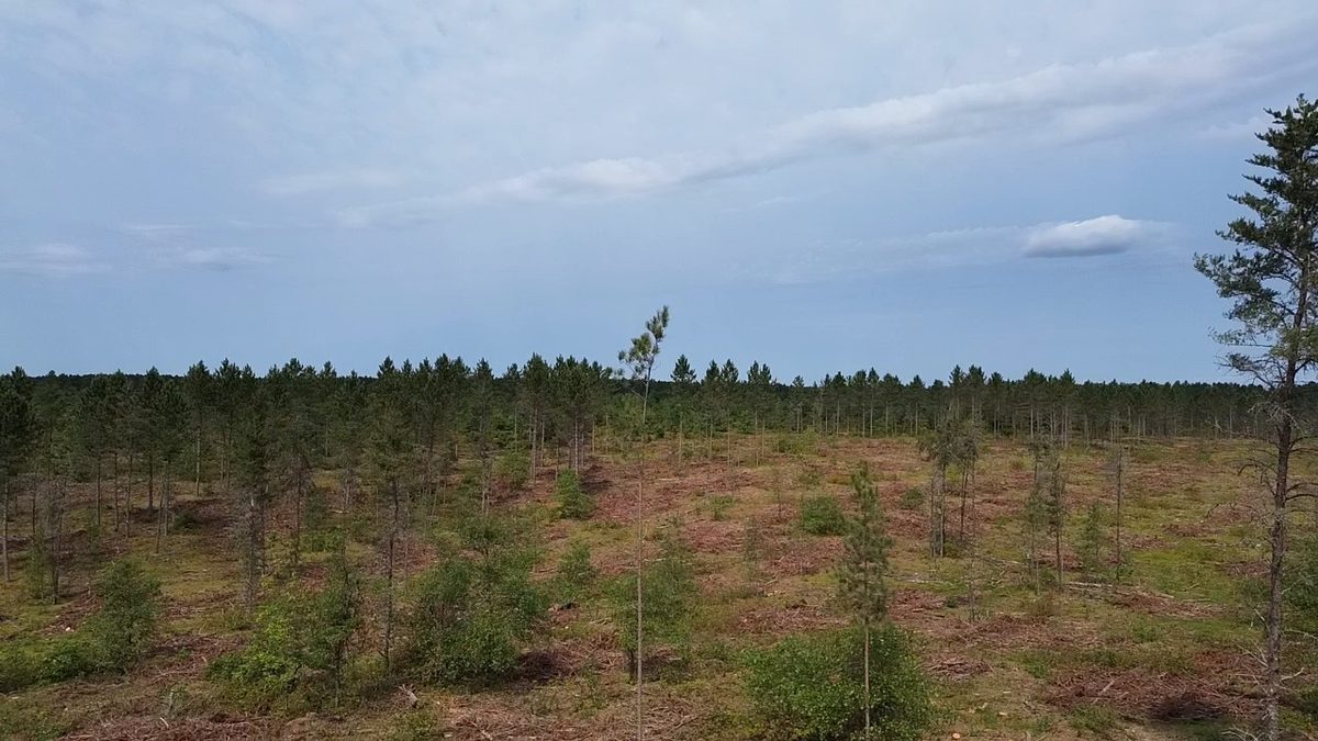 212X Ellison Lake Road, Barnes WI 54873 - Land house for sale - MLS #1604310 - image4