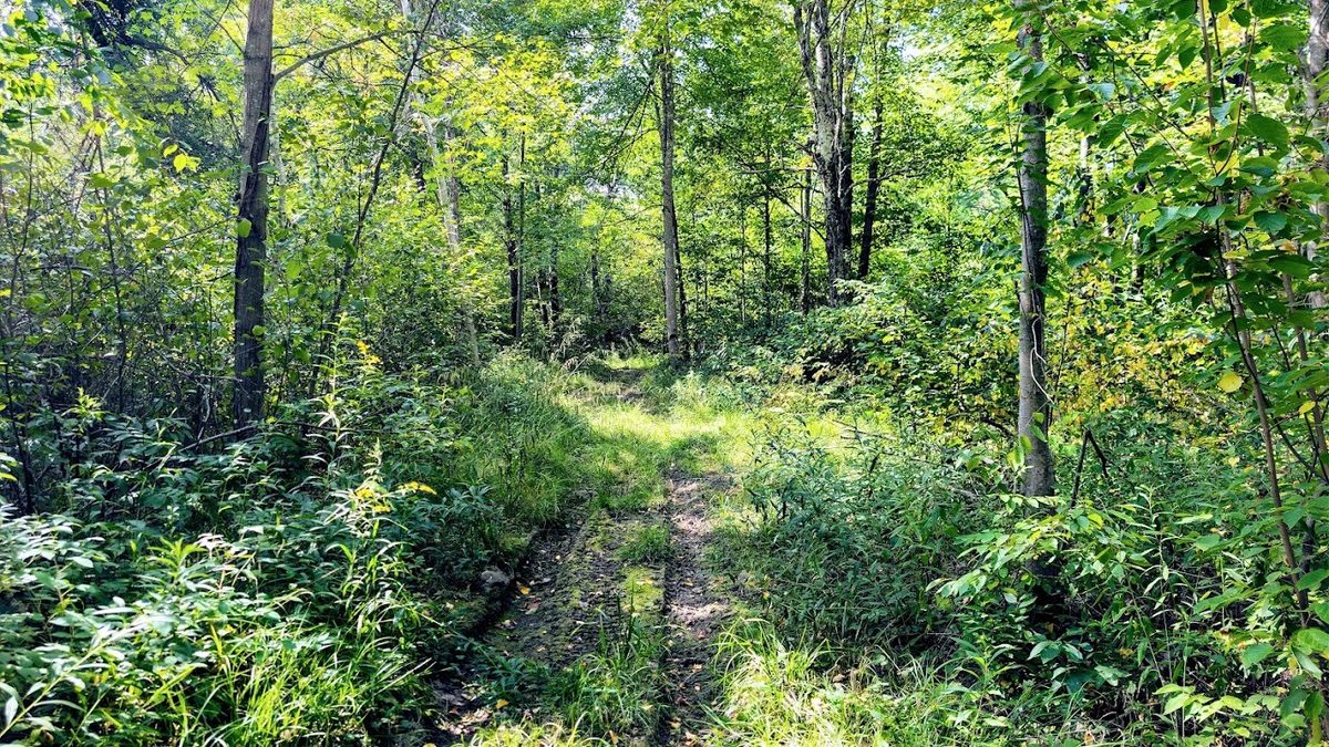 W8185 County Road J, Ladysmith WI 54848 - Land house for sale - MLS #1604406 - image24