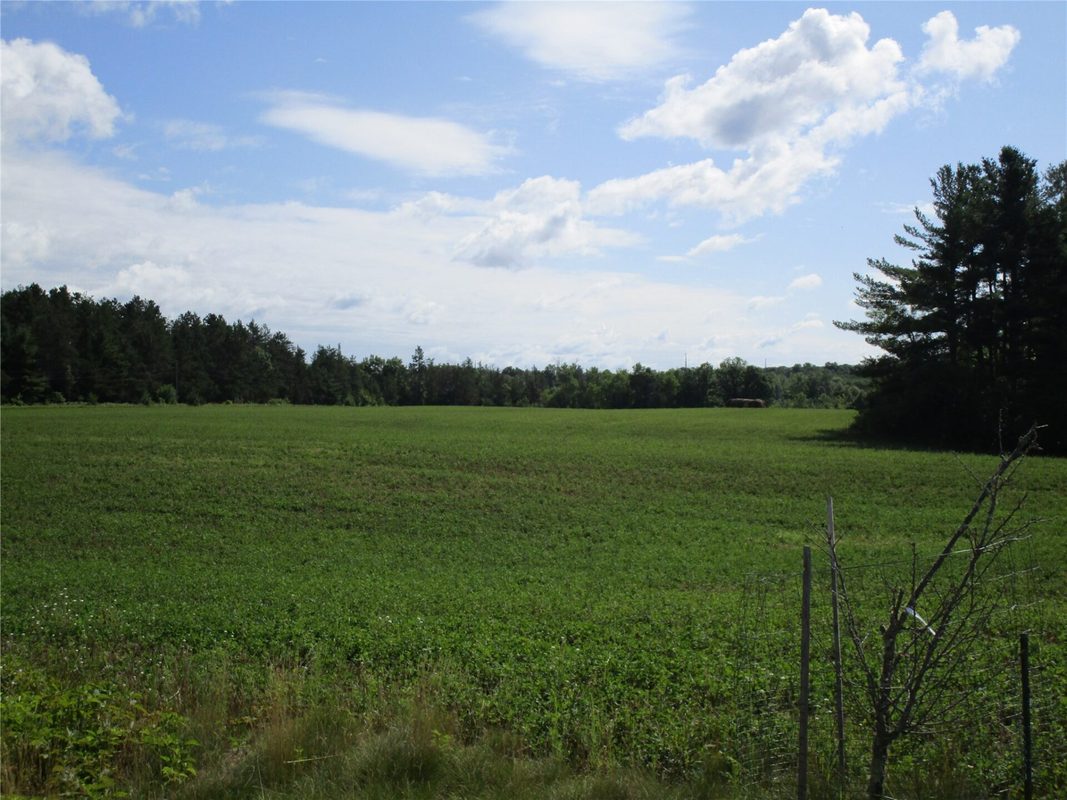 xx River Pine Drive, Ladysmith WI 54848 - Land house for sale - MLS #1601918 - image4