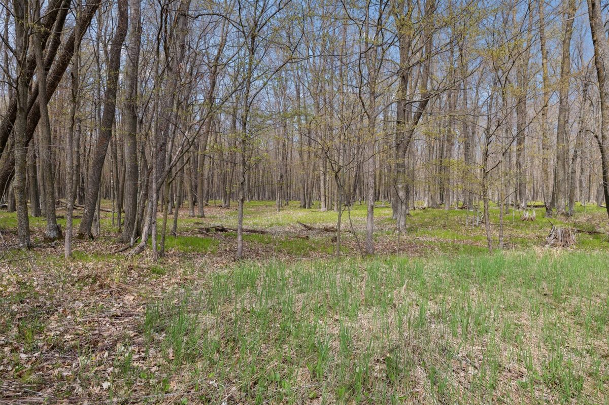 316 Wennenberg Shore Drive, Shell Lake WI 54871 - Residential house for sale - MLS #1599415 - image23
