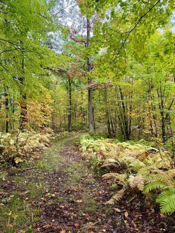 00 10 1/2-28 1/2, Barronett WI 54813 - Land house for sale - MLS #1604830 - image4