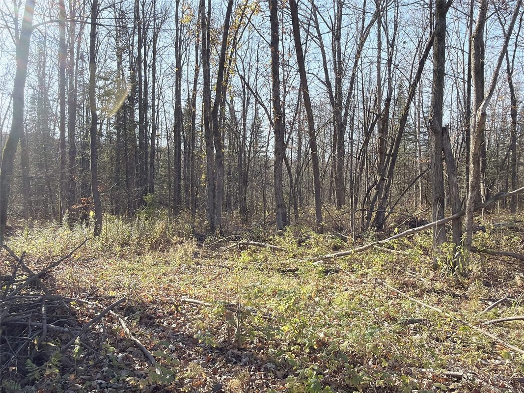 3621 Town Line Road, Glen Flora WI 54526 - Residential house for sale - MLS #1606236 - image29