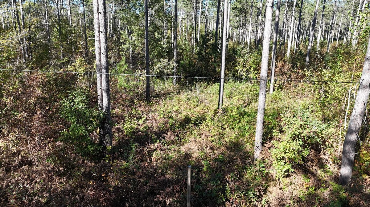 TBD CC Mann Road, Spooner WI 54801 - Land house for sale - MLS #1602851 - image3