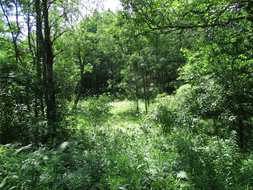 Lots #16 & #17 Eden Avenue, Birchwood WI 54817 - Land house for sale - MLS #1603094 - image3