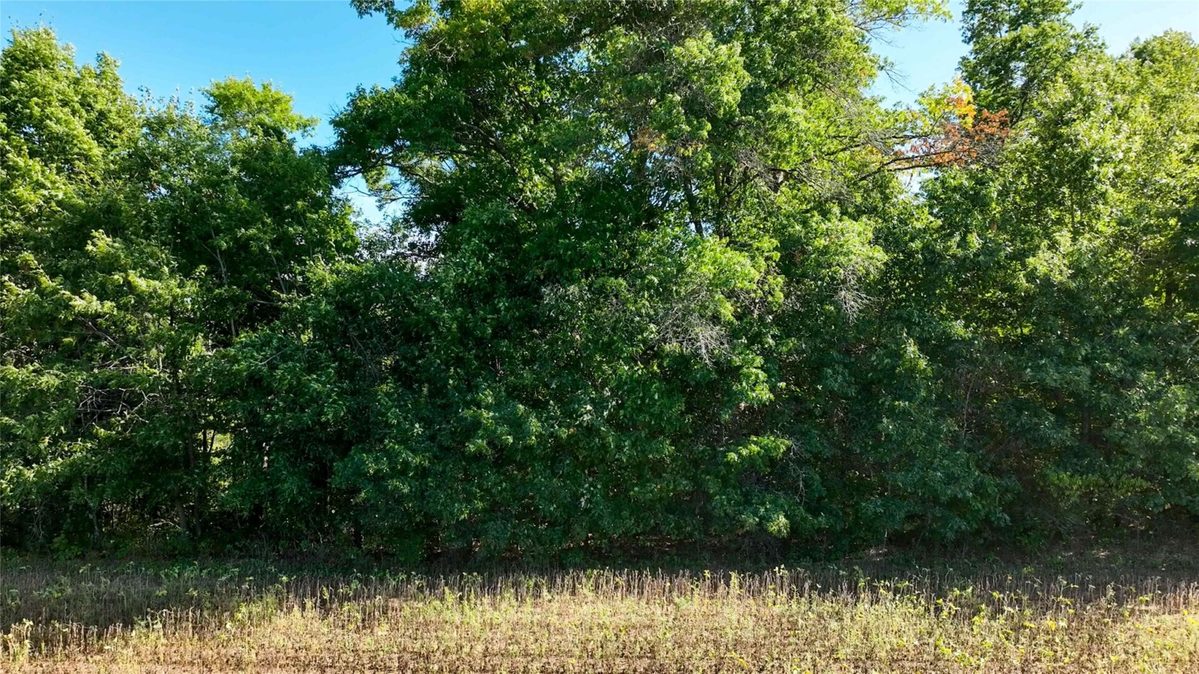 7562 Fairview Road, Ladysmith WI 54848 - Land house for sale - MLS #1605842 - image20
