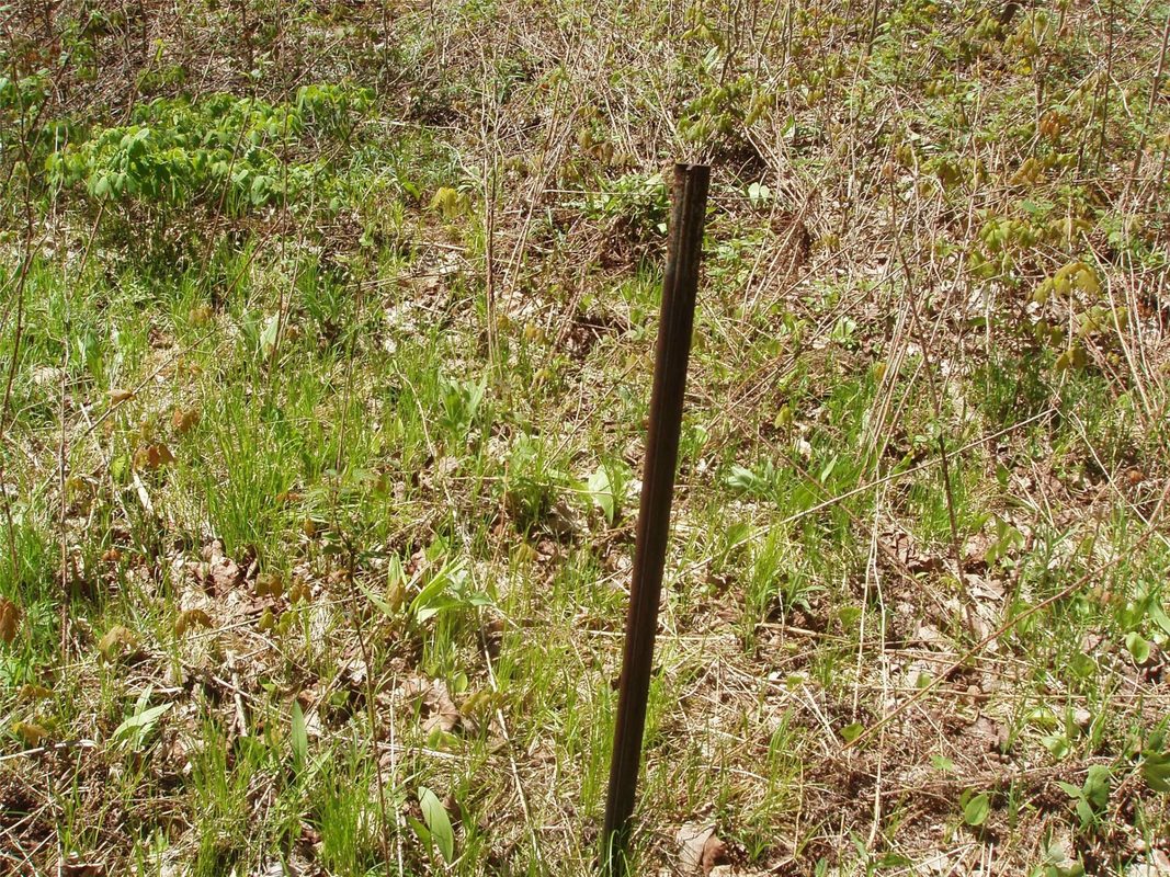 120 +/- Acres Off County Highway N, Glidden WI 54527 - Land house for sale - MLS #1601094 - image23