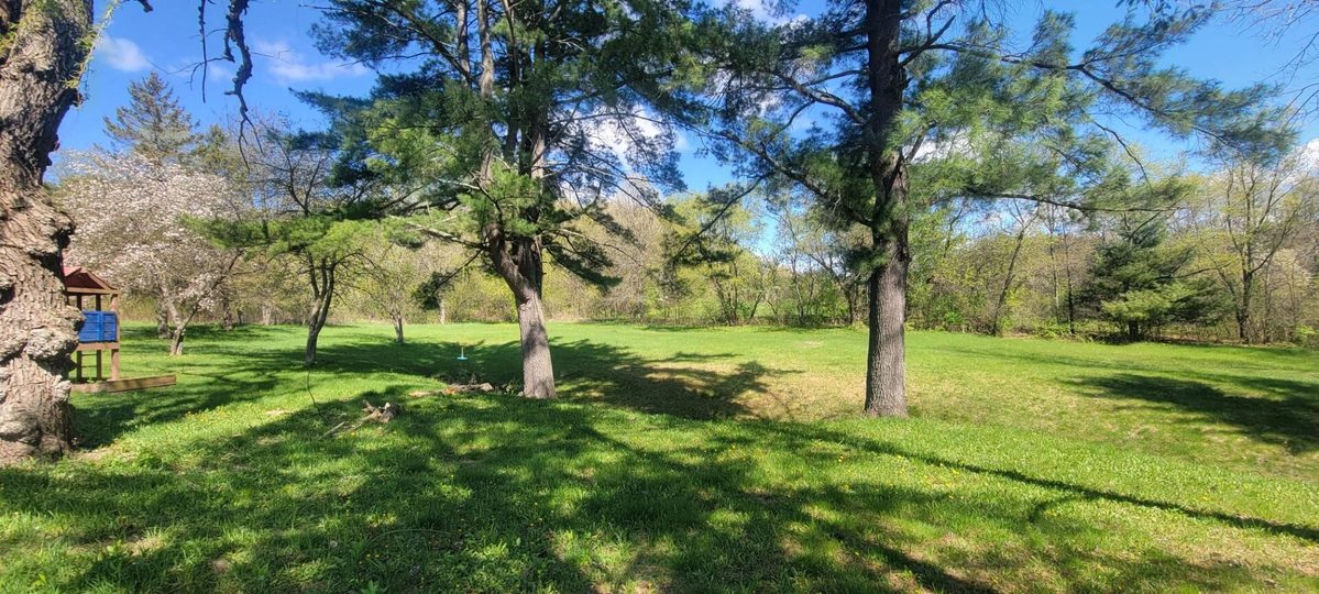 W11390 Cooper Road, Black River Falls, WI — photo 7