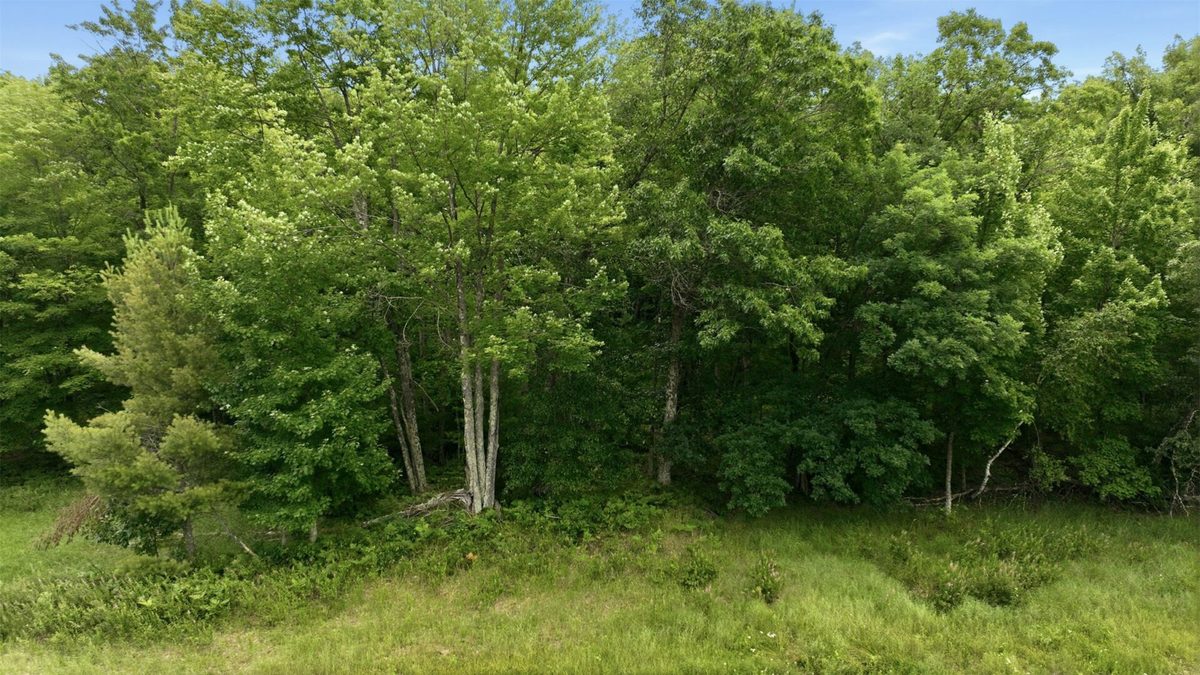 0 Goose Lake, Spooner WI 54801 - Land house for sale - MLS #1603400 - image4