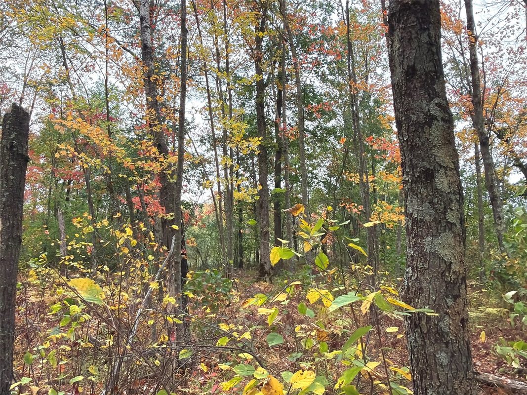 0 Klarquist Road, Webster WI 54840 - Land house for sale - MLS #1605651 - image7