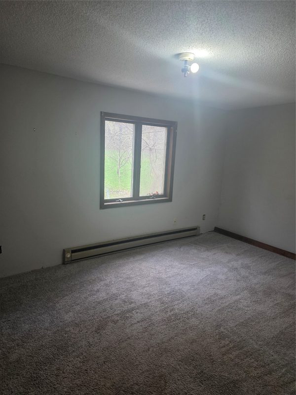 408 Main Street, Plum City WI 54761 - ResidentialIncome house for sale - MLS #1600537 - image6