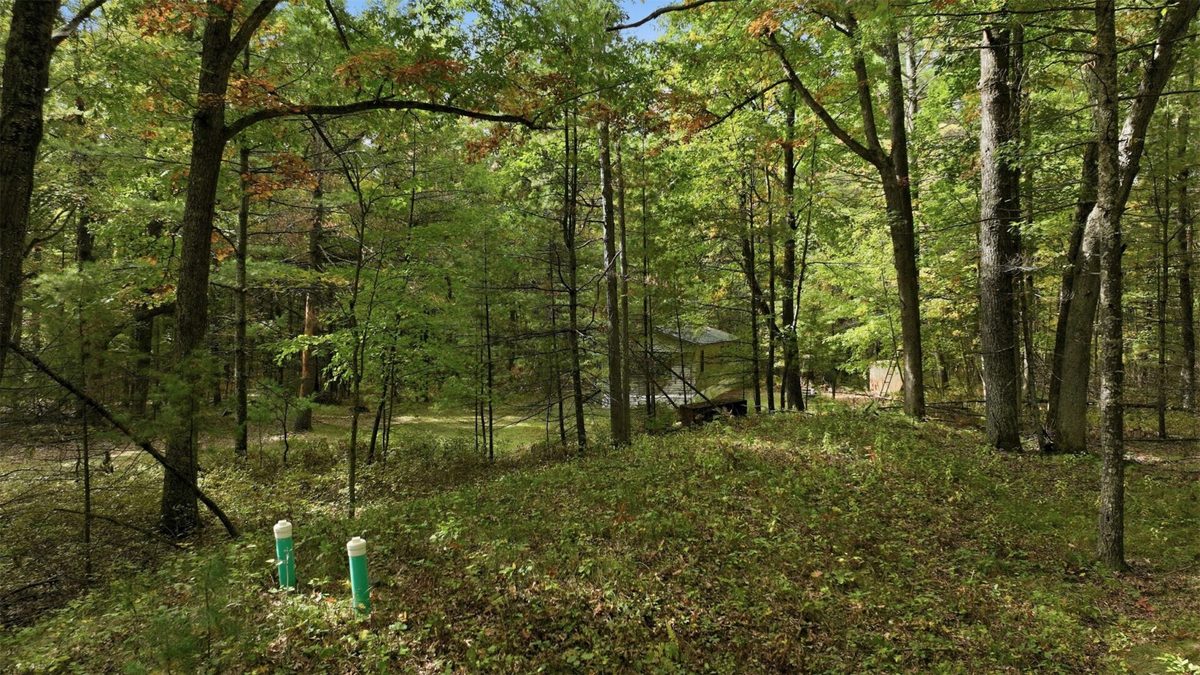 S10130 County Road H, Fairchild WI 54741 - Residential house for sale - MLS #1605513 - image16