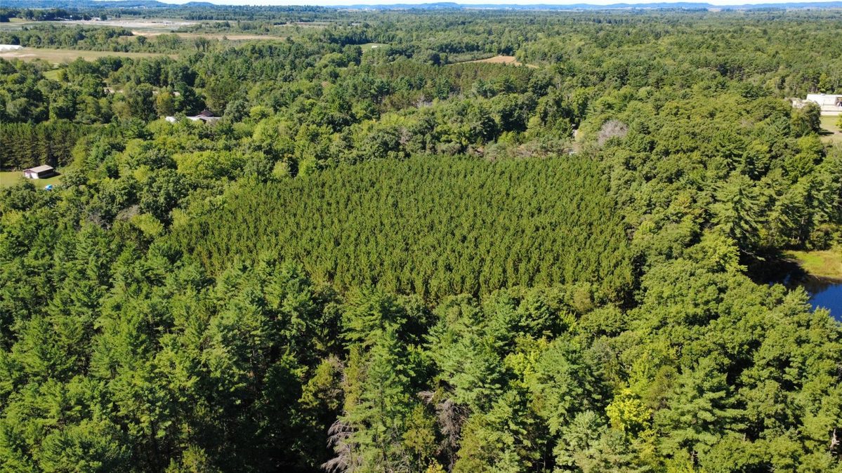 101 Old Highway 12, Merrillan WI 54754 - Residential house for sale - MLS #1604805 - image21