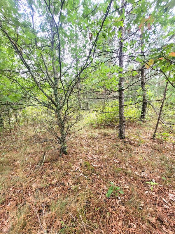0 Blueberry Rd, Gordon WI 54838 - Land house for sale - MLS #1604990 - image19