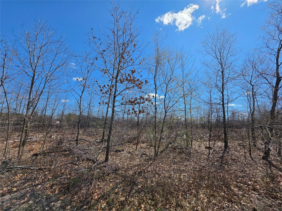 Residential at 0 County Highway E, Elk Mound, WI 54739 — photo 9