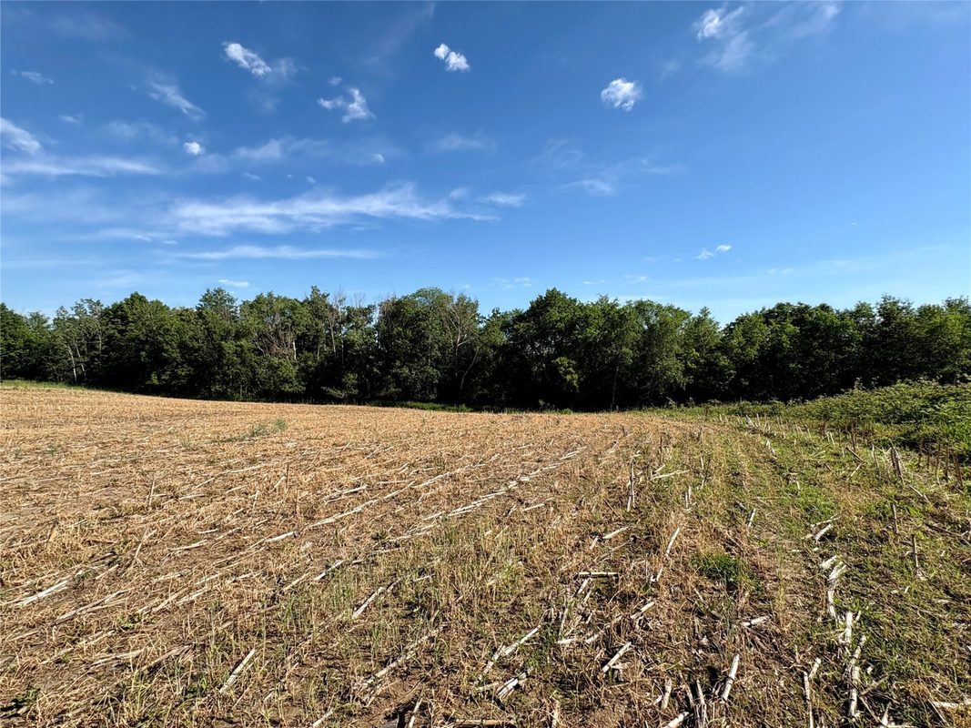 15.01 Acres 160th Avenue, Maiden Rock WI 54750 - Land house for sale - MLS #1604580 - image48