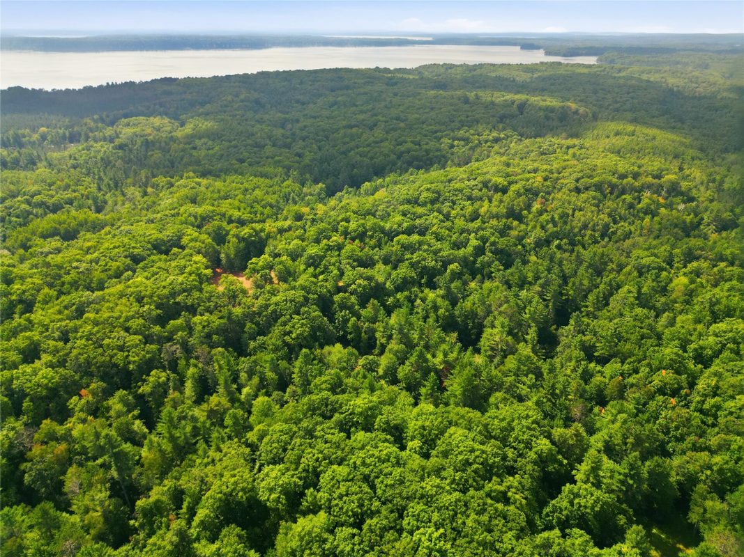 14358W County Highway E, Hayward WI 54843 - Land house for sale - MLS #1604653 - image10