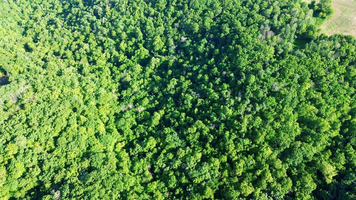 15.01 Acres 160th Avenue, Maiden Rock WI 54750 - Land house for sale - MLS #1604580 - image14