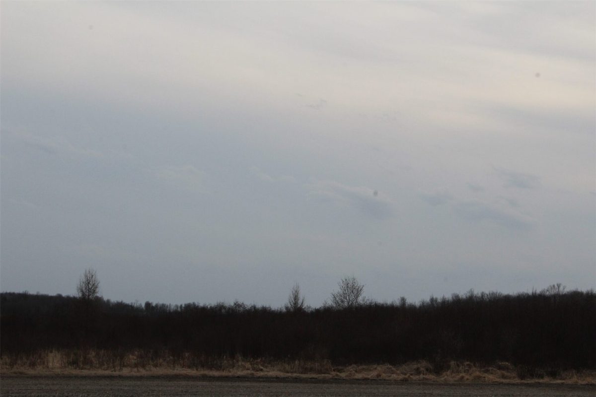 1563 N Helena Drive Holcombe WI 54731 — photo 37