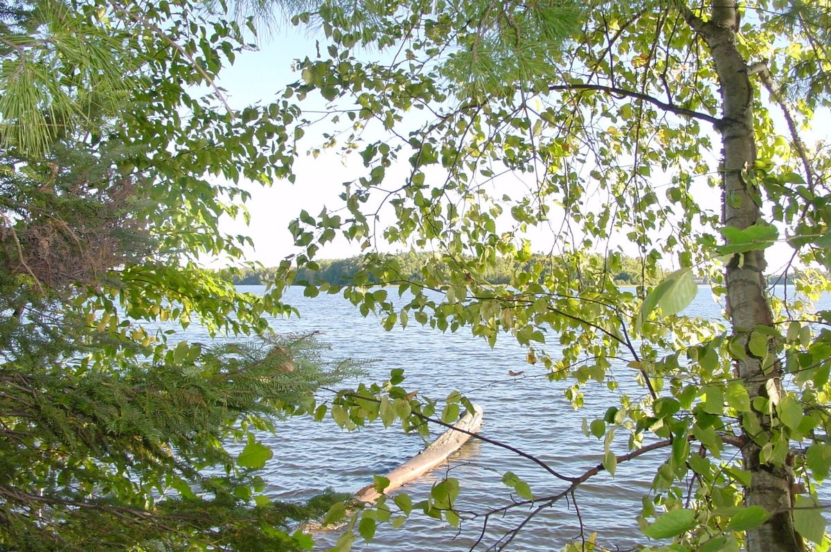 Lot 6 Mae West Road, Ladysmith WI 54848 - Land house for sale - MLS #1605333 - image2