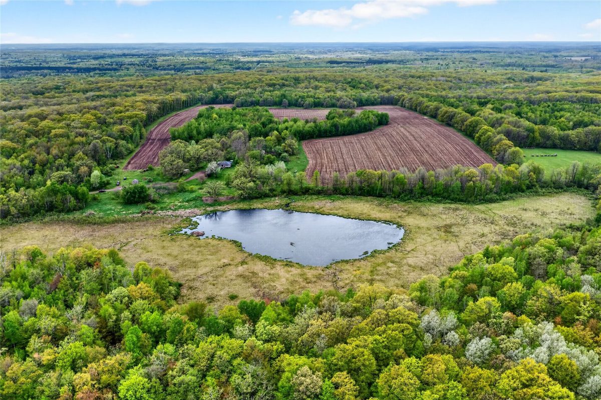 N8771 Fye Road, Trego WI 54888 - Residential house for sale - MLS #1601610 - image3