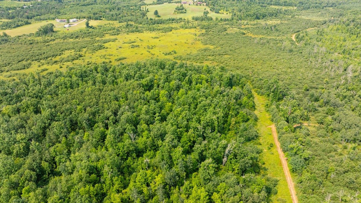 0 28th Street, Chetek WI 54728 - Land house for sale - MLS #1604329 - image21