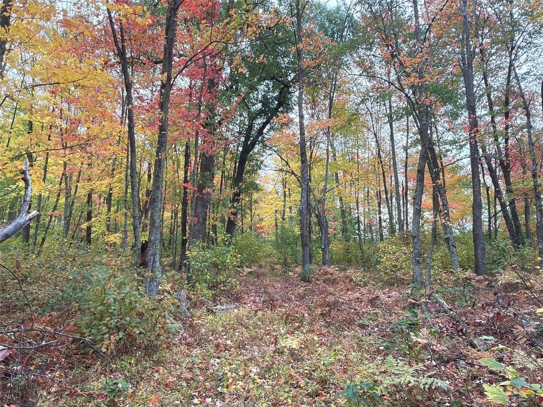 0 Klarquist Road, Webster WI 54840 - Land house for sale - MLS #1605651 - image6