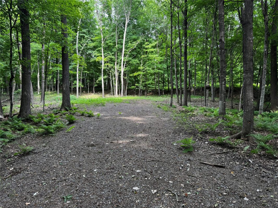 XXX County Road I, Balsam Lake WI 54810 - Land house for sale - MLS #1602879 - image10
