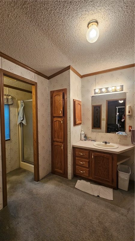 6753 S County Road P Lake Nebagamon WI 54849 — photo 28