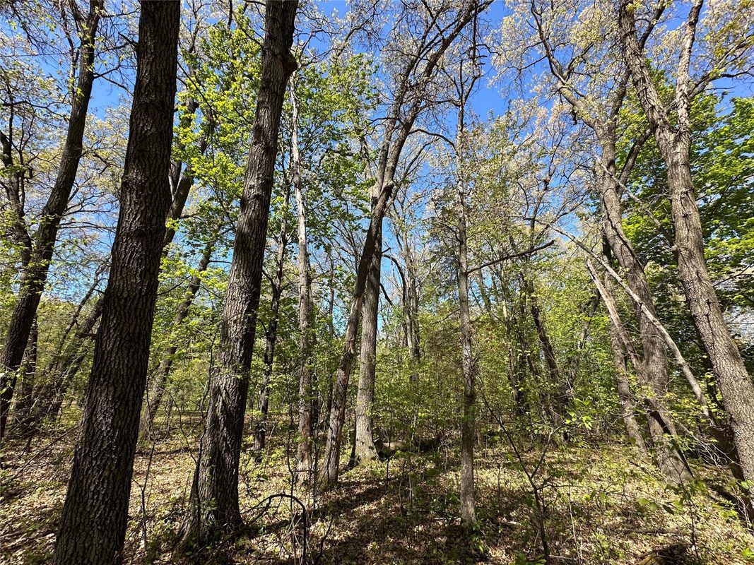 1438 Pleasant Hill Road, Eau Claire WI 54703 - Land house for sale - MLS #1602766 - image18