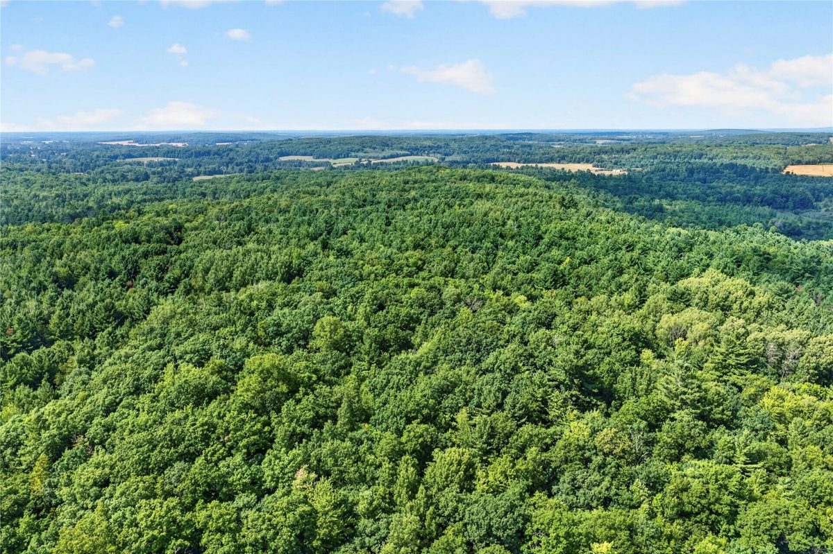 XXX County Hwy B, Shell Lake WI 54871 - Residential house for sale - MLS #1604550 - image33