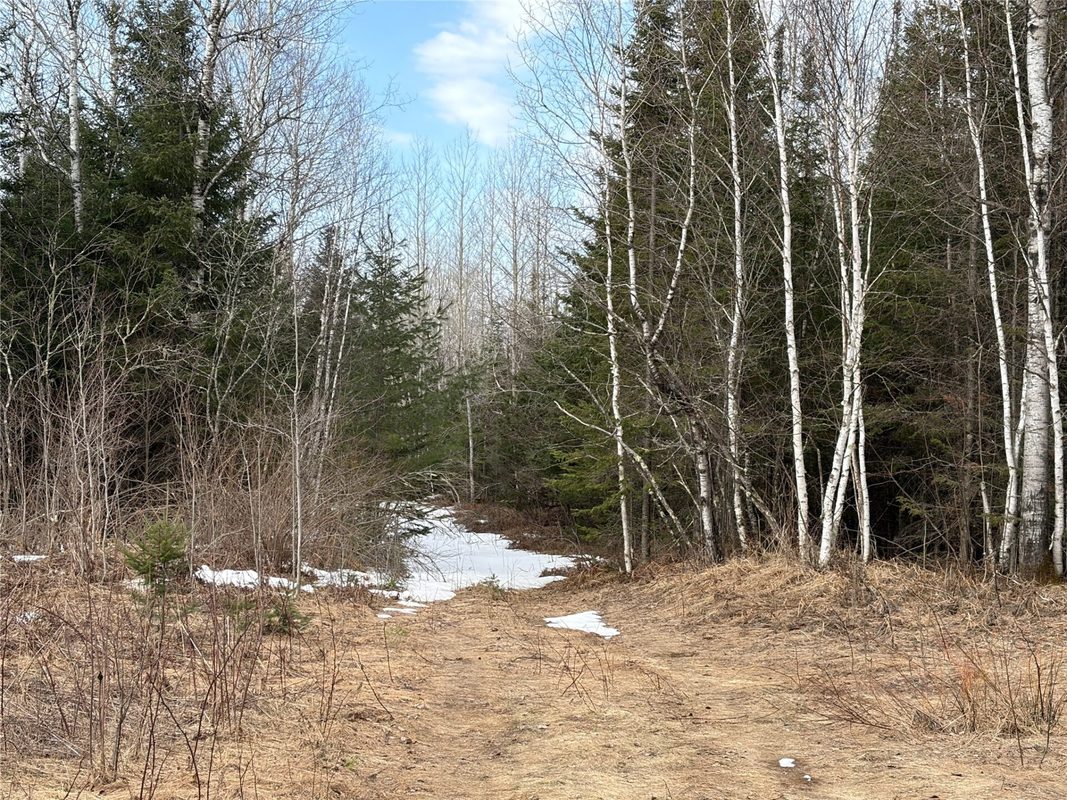 ON CTH F Park Falls WI 54552 — photo 6