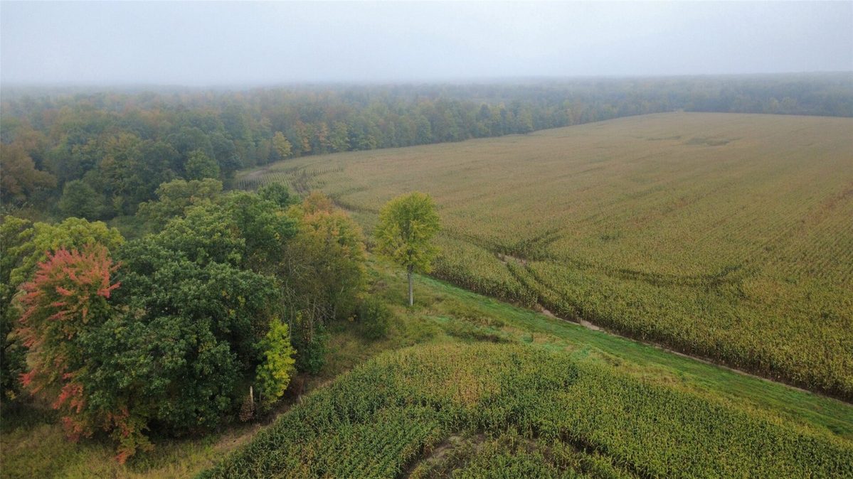 000 Miller Avenue, Owen WI 54460 - Land house for sale - MLS #1605509 - image4