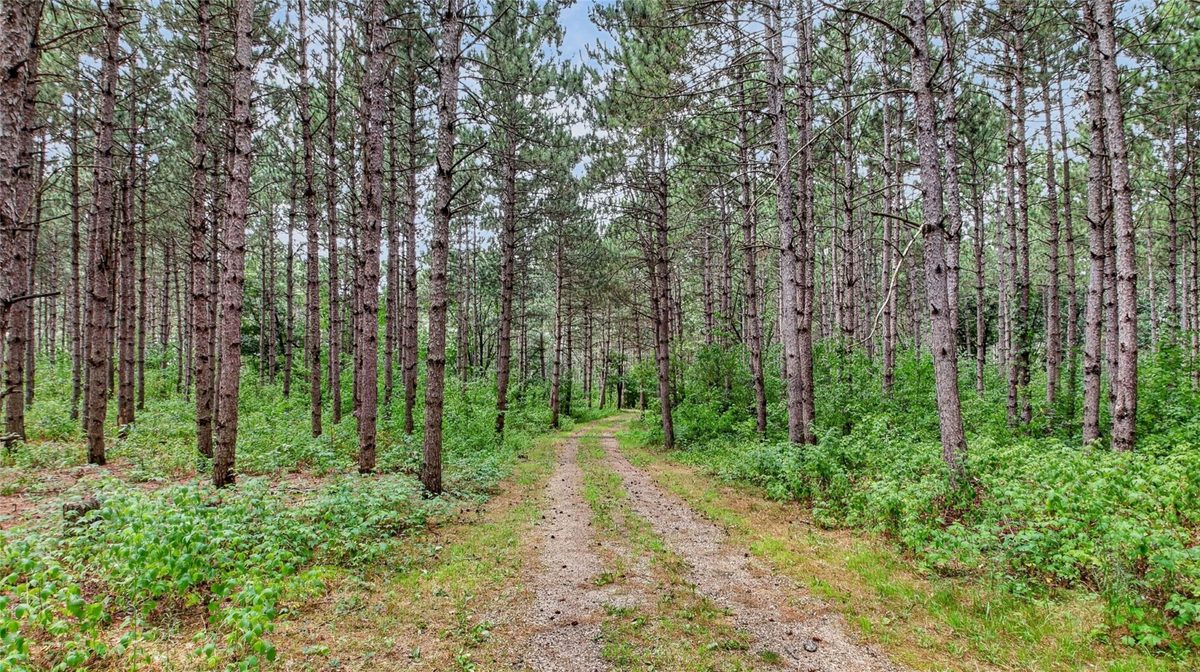 N8481 Kleba Road, Hixton WI 54635 - Residential house for sale - MLS #1604042 - image47