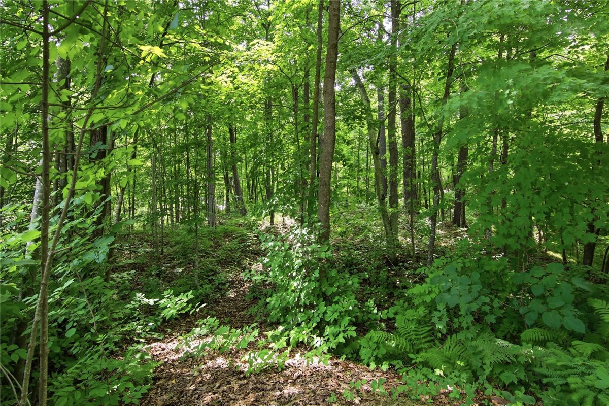 1314N County Highway F, Birchwood WI 54817 - Residential house for sale - MLS #1603474 - image31