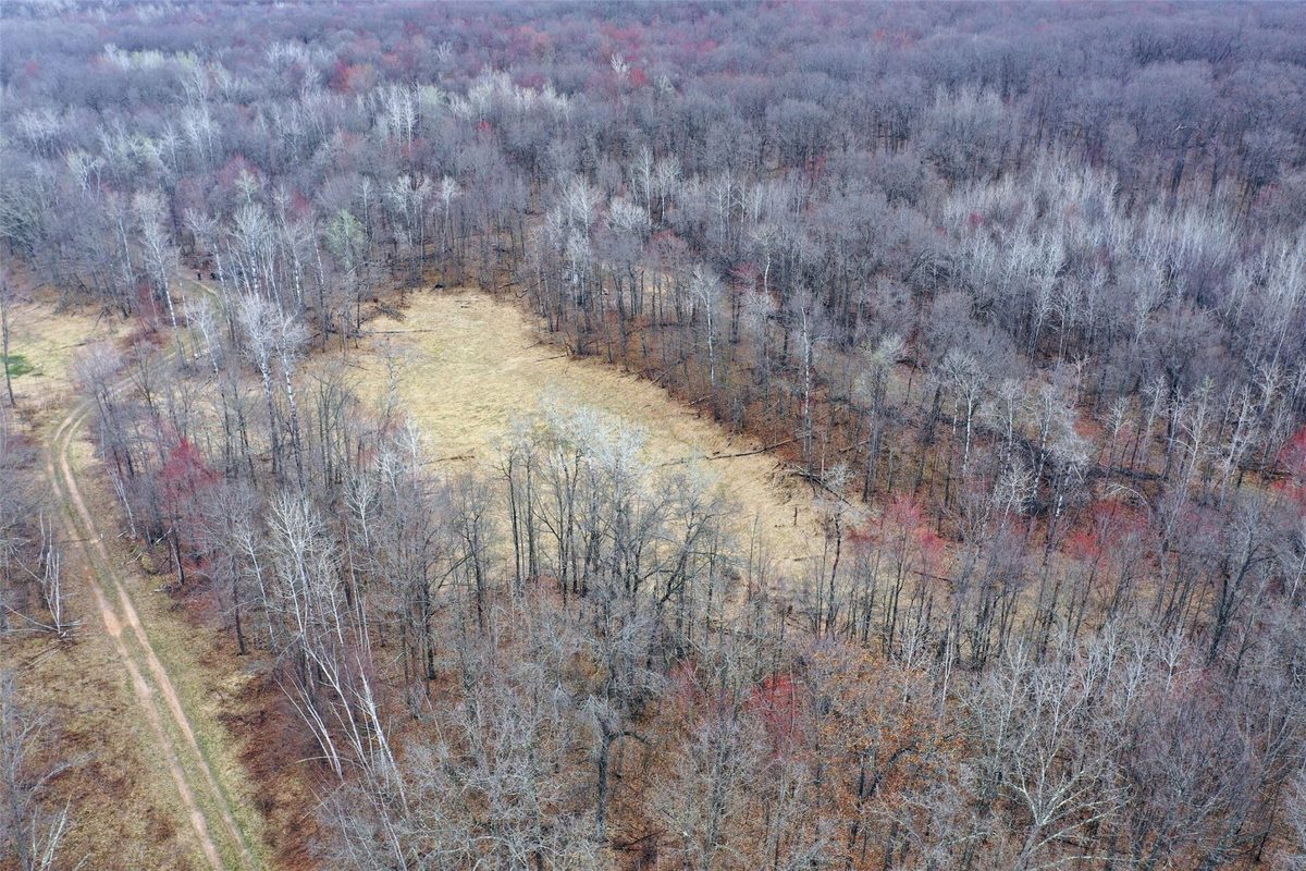 TBD Barrett Trail, Trego WI 54888 - Land house for sale - MLS #1600463 - image7