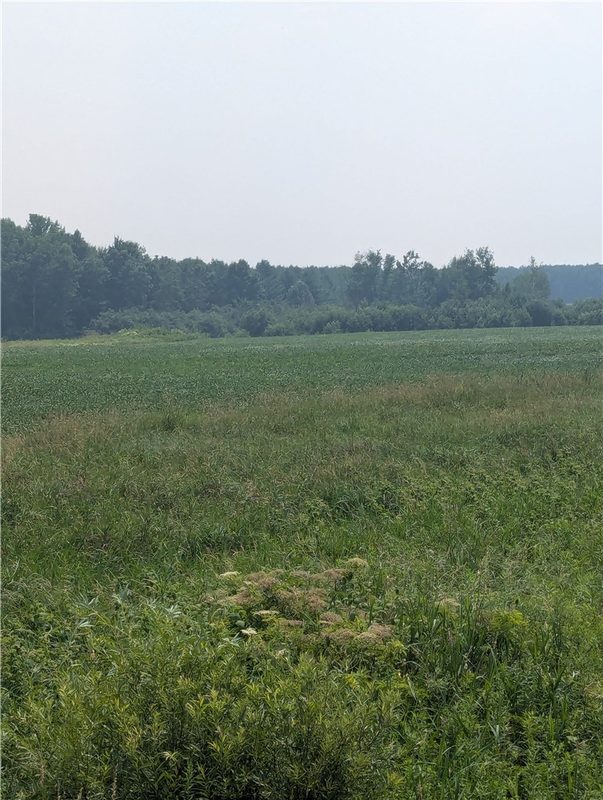 Lot 4 County Highway W, Holcombe, WI — photo 3