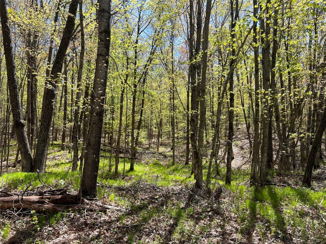 W6474 River Road, Trego WI 54888 - Land house for sale - MLS #1601245 - image16