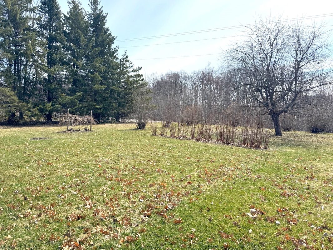 820 14th Avenue Almena WI 54805 — photo 37