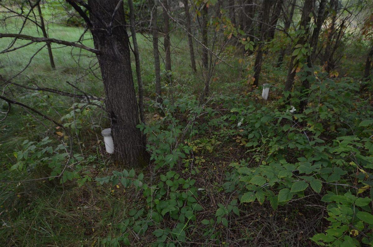 N47414 County Road Y, Eleva WI 54738 - Residential house for sale - MLS #1605721 - image22