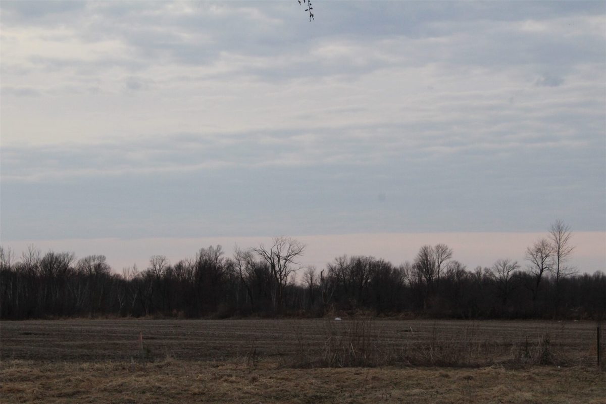 1563 N Helena Drive Holcombe WI 54731 — photo 26