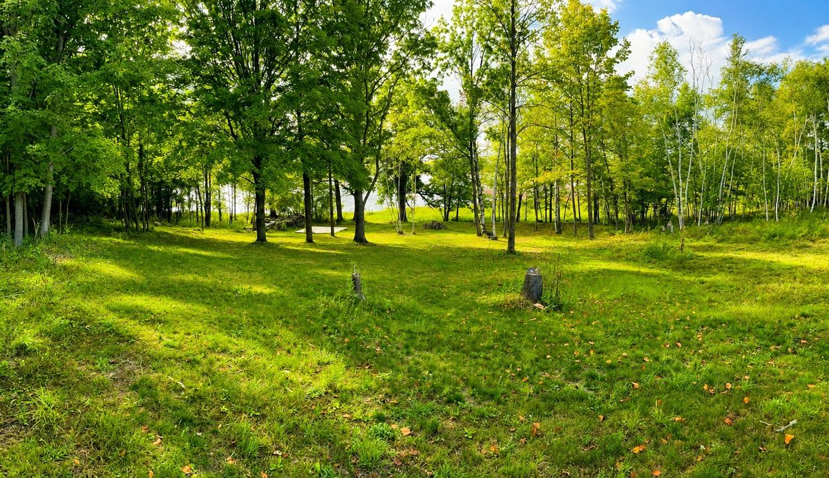 110 90th Avenue, Clayton WI 54004 - Land house for sale - MLS #1604843 - image2
