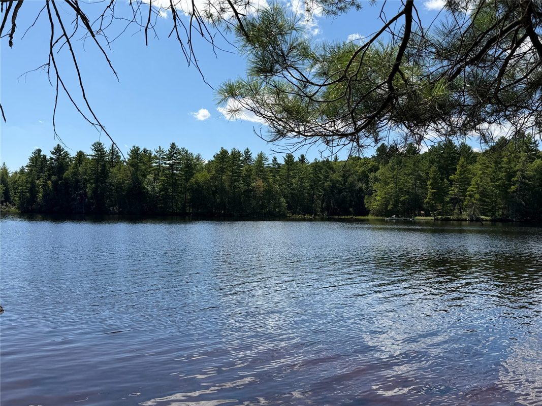 6856W Wolf Island Drive, Hayward WI 54843 - Land house for sale - MLS #1603968 - image9