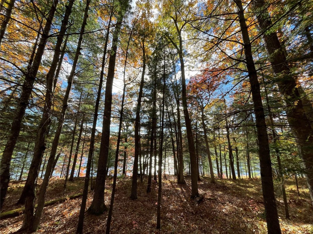 7 W Tanager Trail, Hayward, WI — photo 28