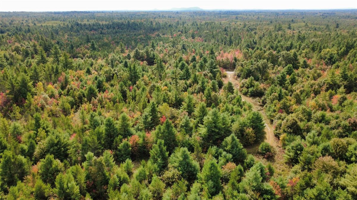 W4199 Ballard Road, Neillsville WI 54456 - Land house for sale - MLS #1605652 - image15